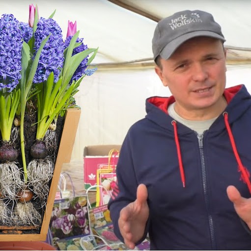 САД, ОГОРОД,СВОИМИ РУКАМИ САД, ОГОРОД,СВОИМИ РУКАМИ