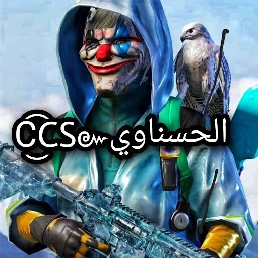 CCS_Alhsnawy