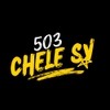 CheleSv 503