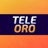 Canal 13 TeleOro