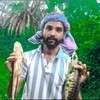 Saddam Fisher