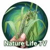Nature Life TV
