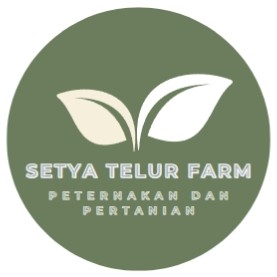 SETYA TELUR FARM