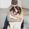 Tom Davis Dog Training 