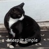 Animals zone7861
