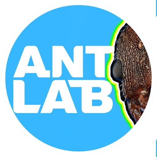 Ant Lab Ant Lab