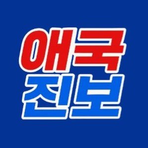 애국진보청년
