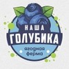 Наша Голубика Наша Голубика