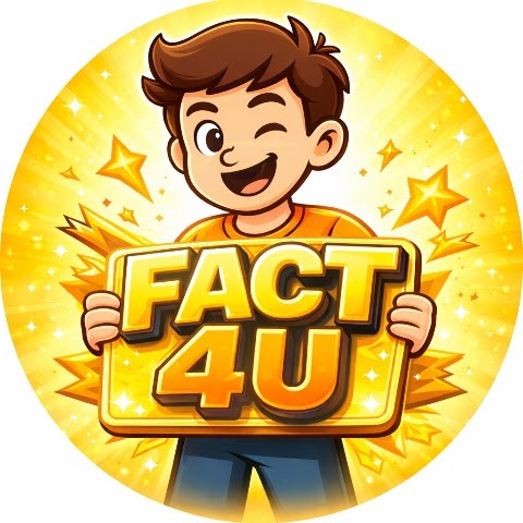 Fact 4u 