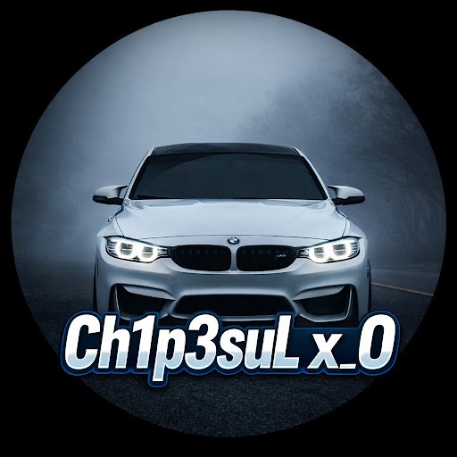 Ch1p3suL x_O