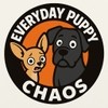 Everyday Puppy Chaos