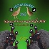 All Pakistan Kala Teetar & Dukhni Teetar Experts
