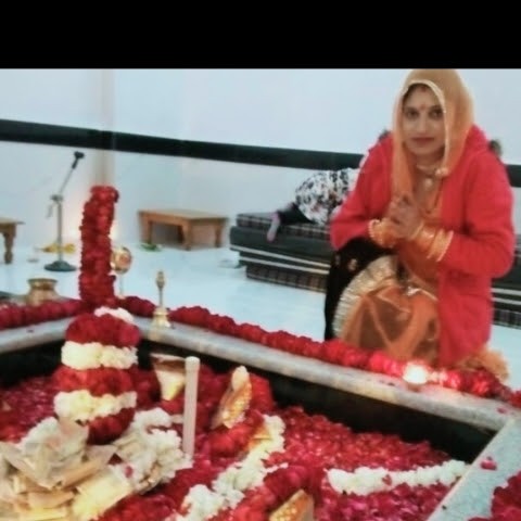 Seema Shekhawat Seema Shekhawat