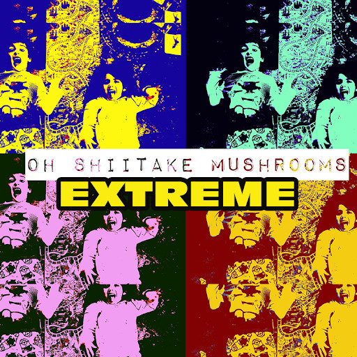 oh shiitake mushrooms - PLAYBOARD