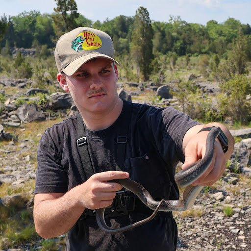 Tim in the Wild