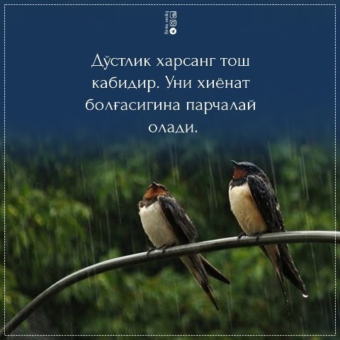 Yalangoch Jesse Jeyn video