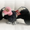 Cali Condor