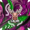 Lecko Lecko