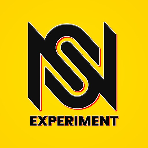 NS Experiment NS Experiment
