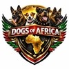Dogs Of Africa