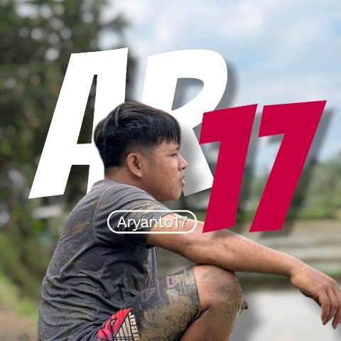 AR 17 AR 17