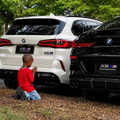 WEALTH plus LIFESTYLE 