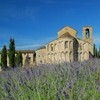Fraternità di Romena