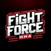 Fight Force