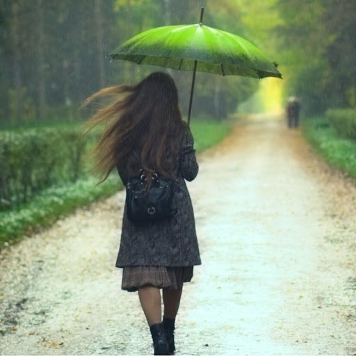 Rain on The Park Rain on The Park