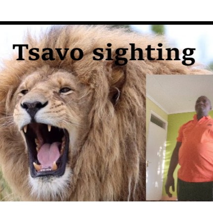 Tsavo Sightings-WildWonders Tsavo Sightings-WildWonders