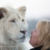 Caresse de tigre