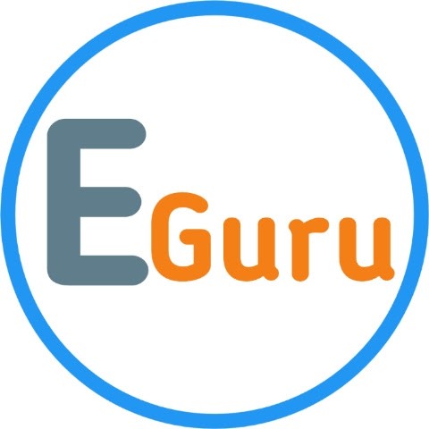 Electric Guru Electric Guru