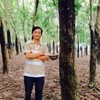 Fan Cô Hằng Chú Dũng