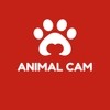 AnimalCam