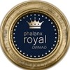 Royal Phalanx Gaming / Music Royal Phalanx Gaming / Music