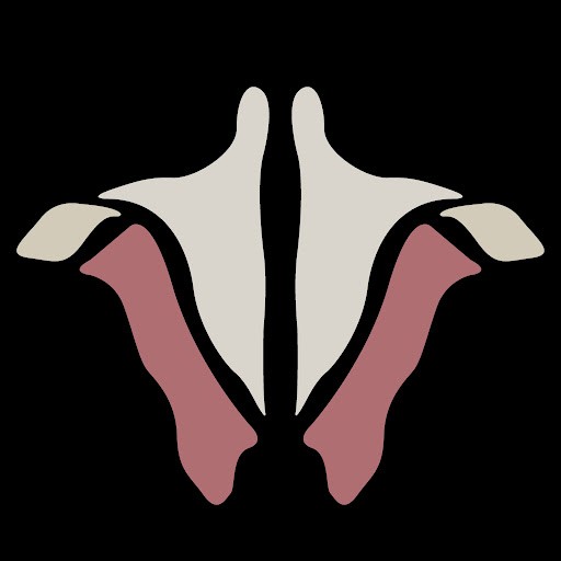 Institute of Human Anatomy