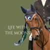The Moons' Home for Retired Sport Horses & Animals