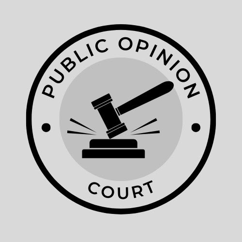 THE PUBLIC OPINION COURT