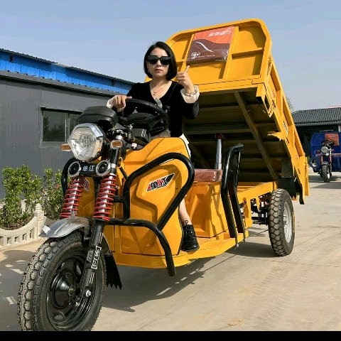 Heavy Deuty Electric Tricycle2.1