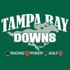Tampa Bay Downs