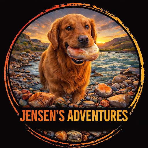 Jensen's Adventures