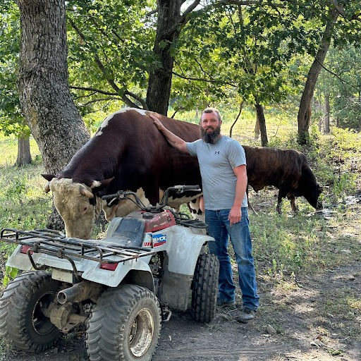 Rufus The Bull
