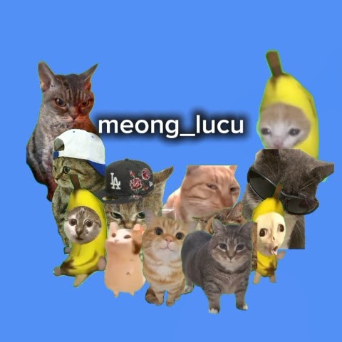 meong_lucu67