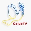 GolubTV