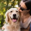 Perrito Amigo Perrito Amigo
