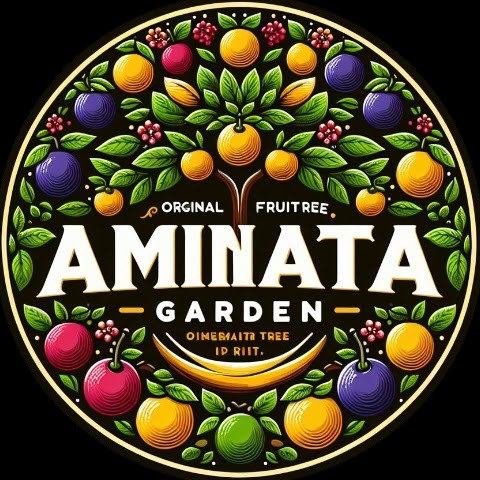 aminata garden