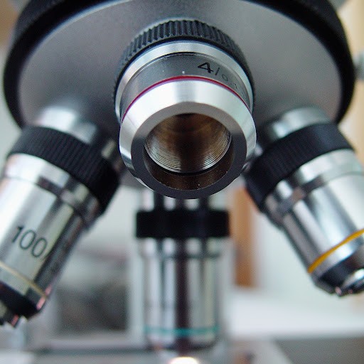 Pod Mikroskopem 🔬 nauka, zdrowie, medycyna, dieta Pod Mikroskopem 🔬 nauka, zdrowie, medycyna, dieta