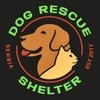Dog Rescue Shelter, Serbia Dog Rescue Shelter, Serbia